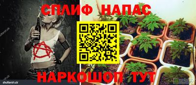 мескалин Малгобек