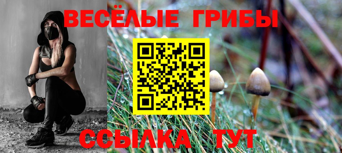 Псилоцибиновые грибы Magic Shrooms  Вход с VPN  Ставрополь 