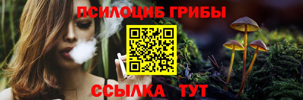 Галлюциногенные грибы Psilocybine cubensis Ставрополь